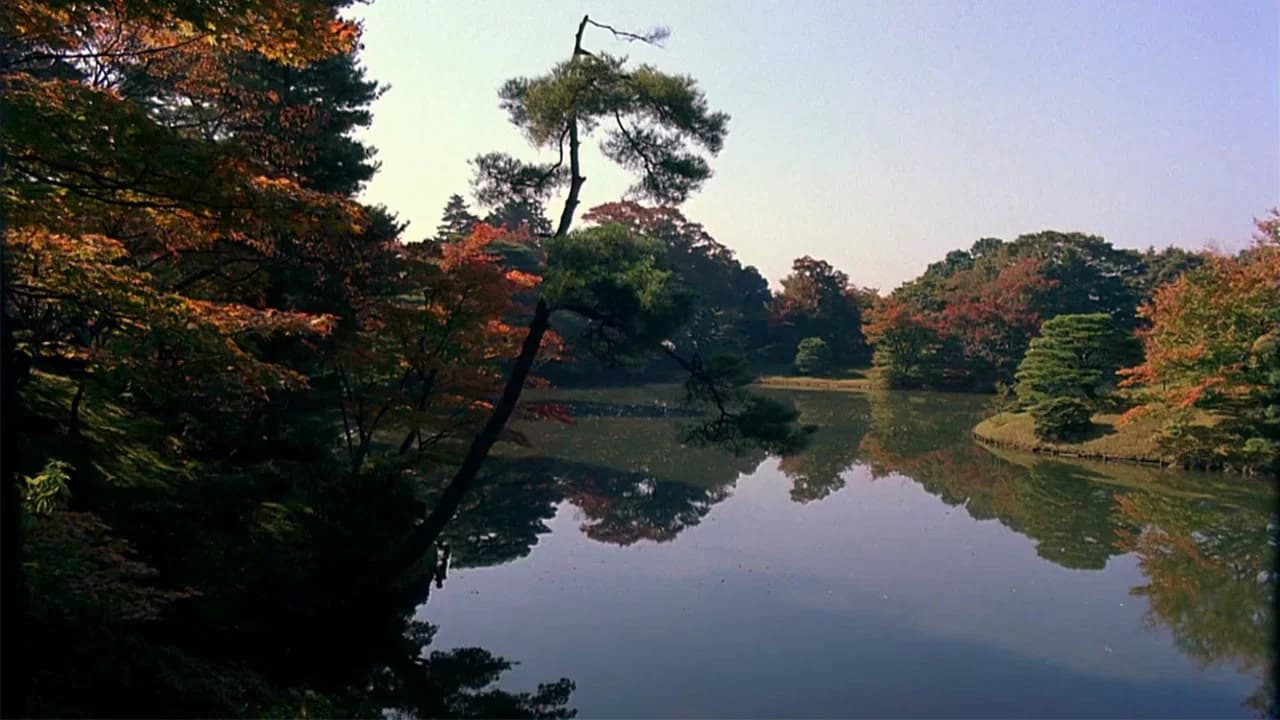 Hiroshi Teshigahara backdrop